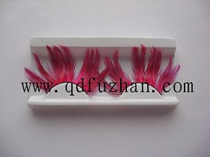 pair of eyelash
