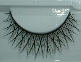 pair of eyelash