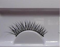 pair of eyelash