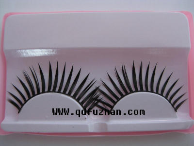 pair of eyelash