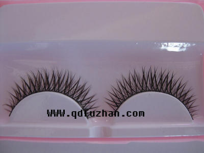 pair of eyelash