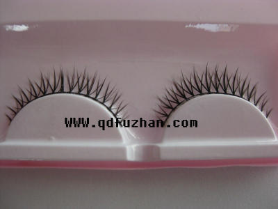 pair of eyelash