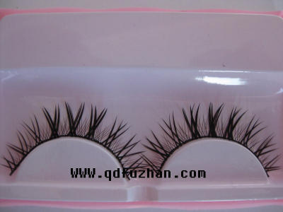 pair of eyelash