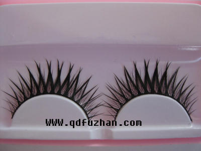 pair of eyelash