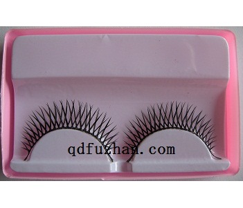 pair of eyelash