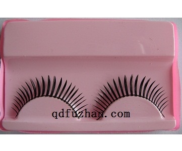 pair of eyelash