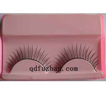 pair of eyelash